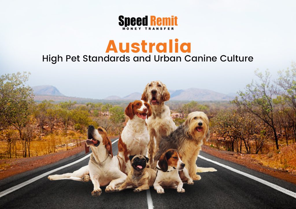 Australia: High Pet Standards and Urban Canine Culture