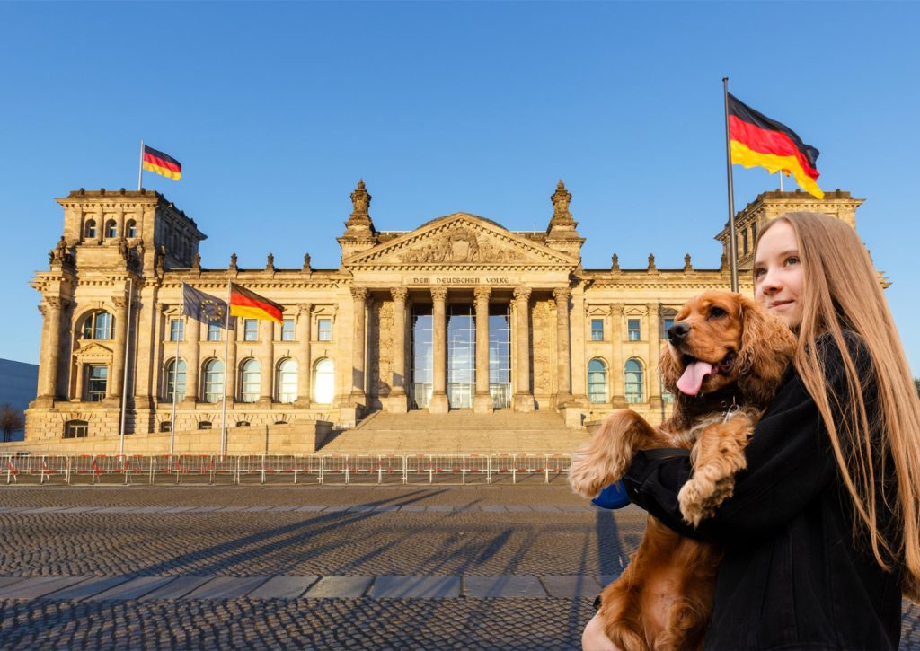 Germany: The Gold Standard for Dog-Friendly Living