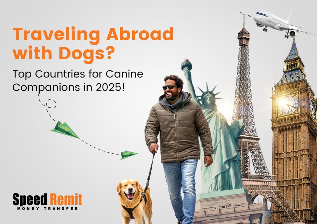 Traveling Abroad with Dogs